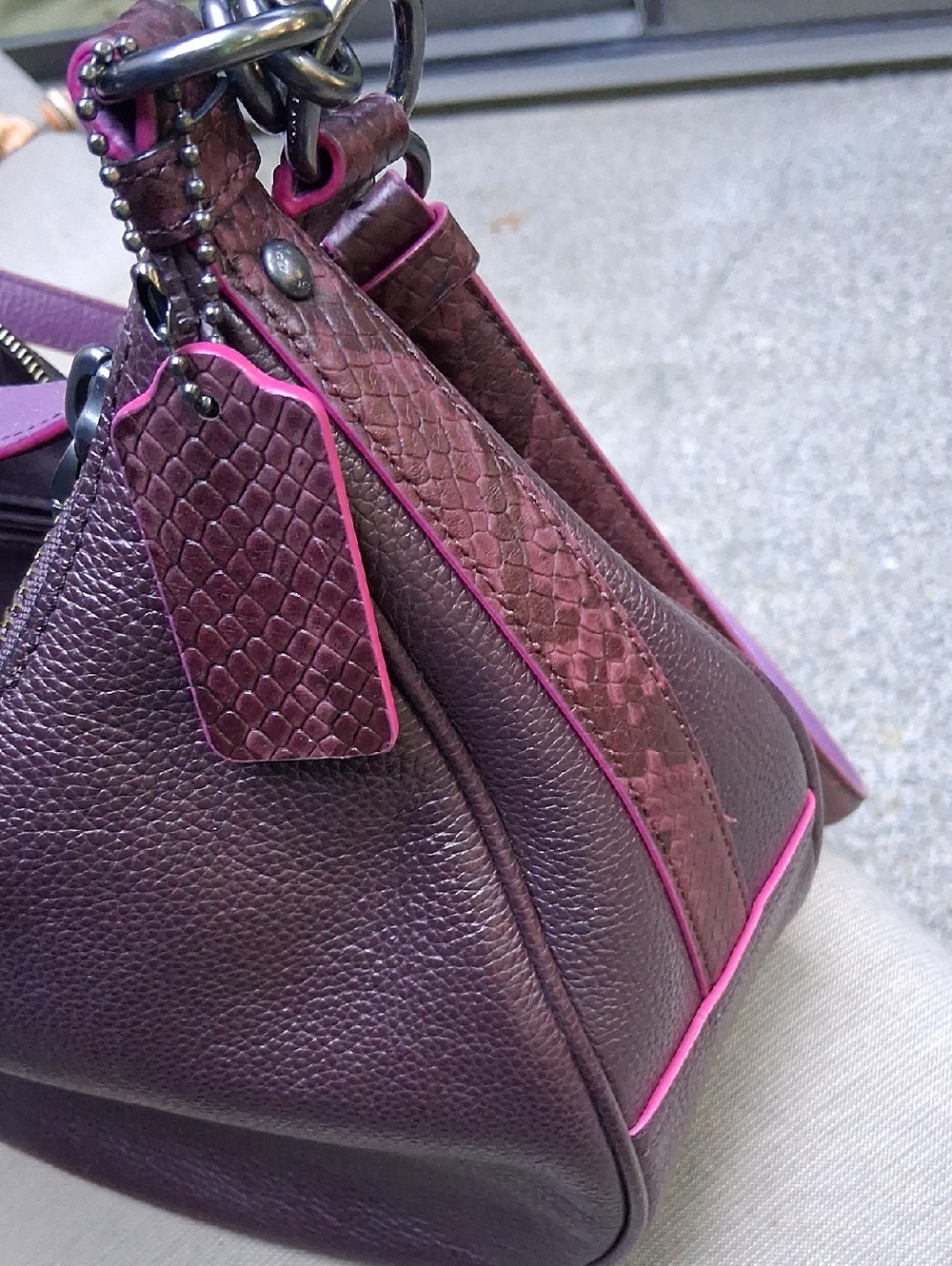 Coach Exotic Trim East/West Harley Hobo May 2017 - Picture 10 of 14